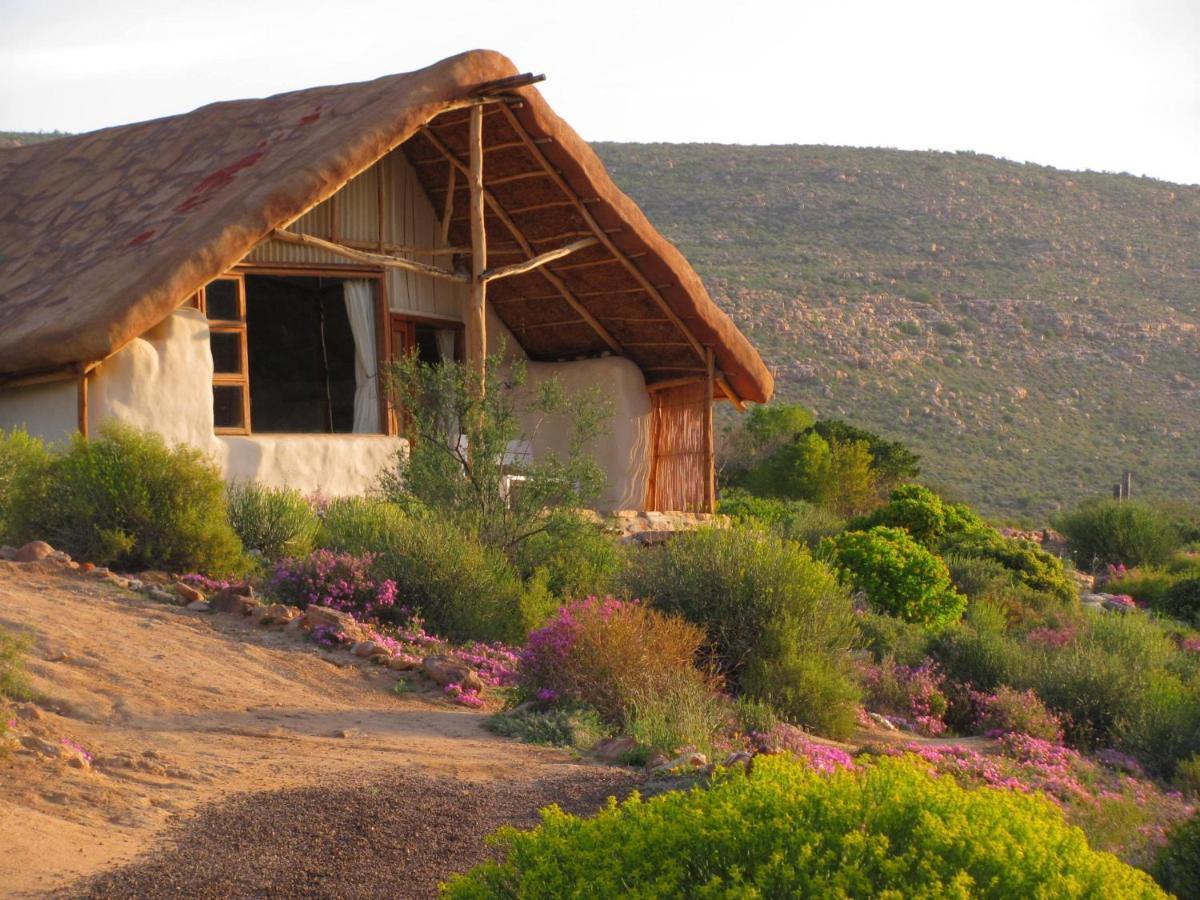 Oudrif Farm Villa Clanwilliam Luaran gambar