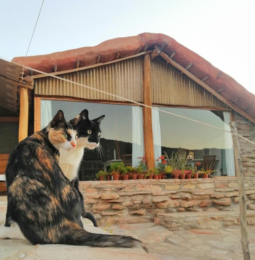 Oudrif Farm Villa Clanwilliam Luaran gambar